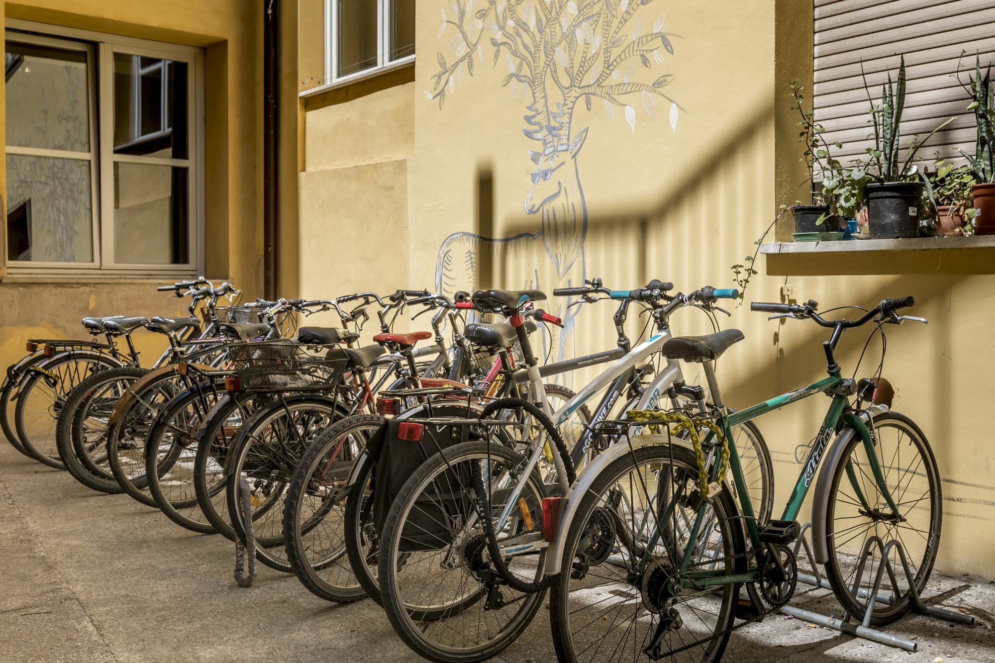 San Filippo Neri Auberge de jeunesse *